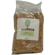 Organic Wheat - Grain